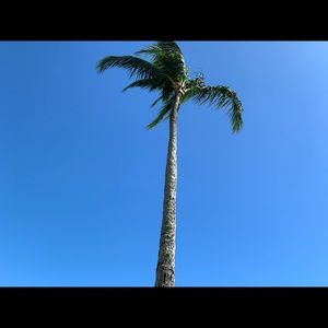 Meet your Posher, Monique